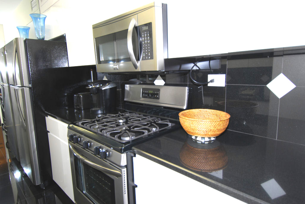North Shore Towers 1 bedroom apt.
