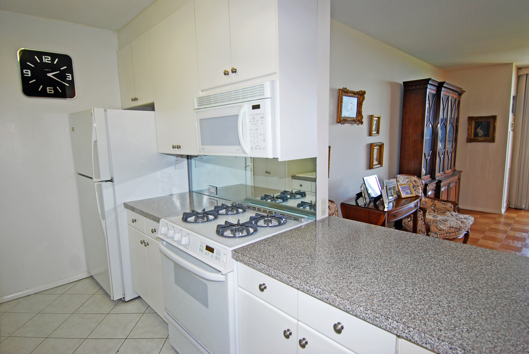 North Shore Towers 1 Bedroom Apartment