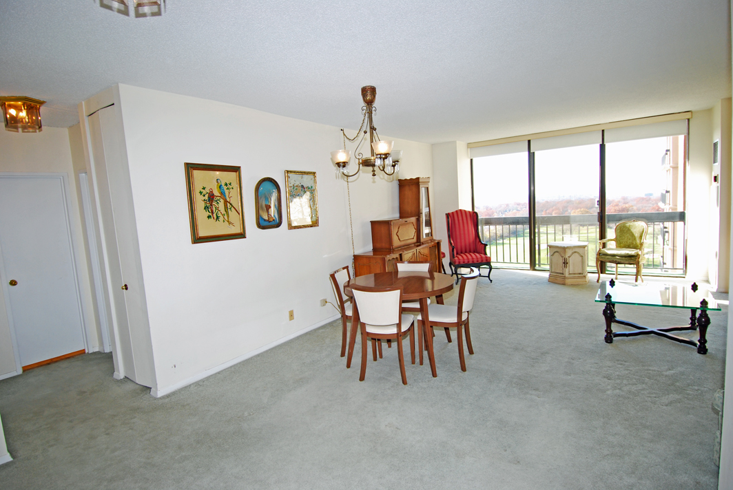 North Shore Towers  apt.