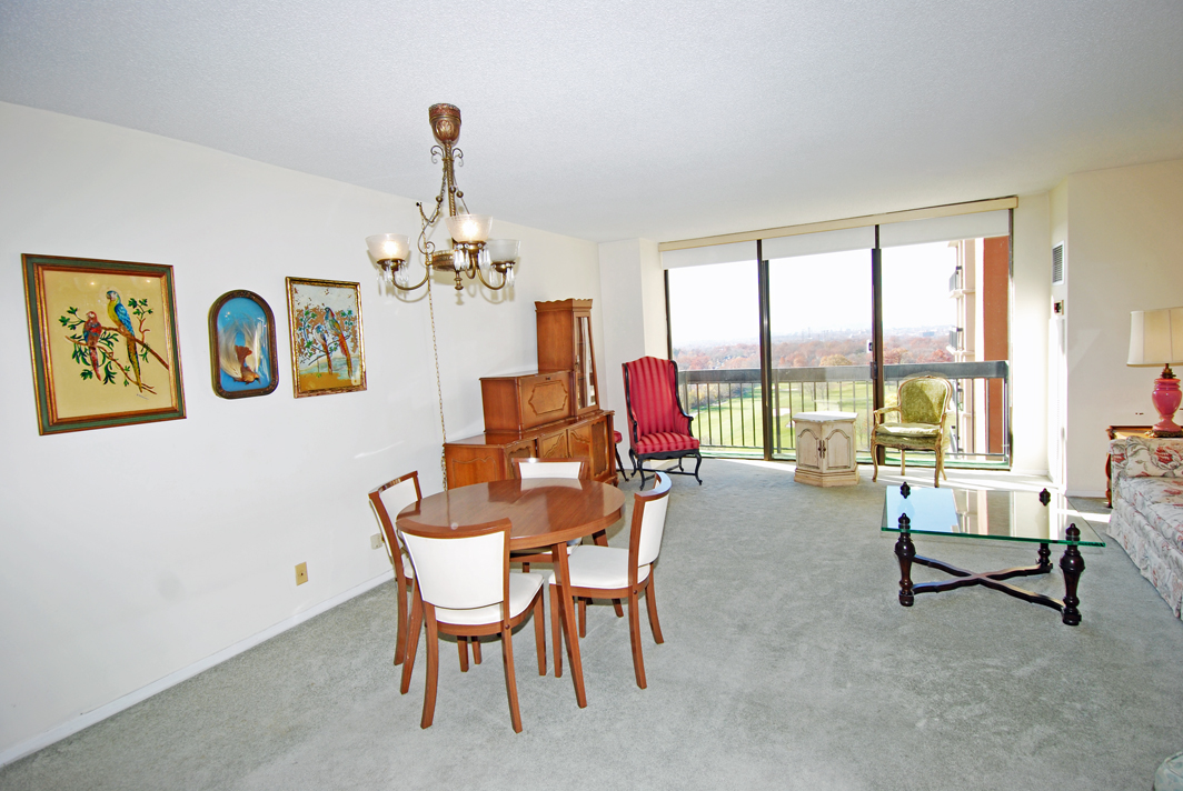 North Shore Towers  apt.