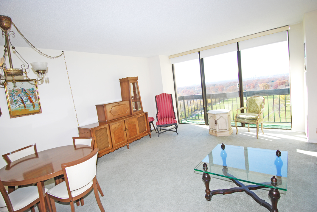 North Shore Towers  apt.