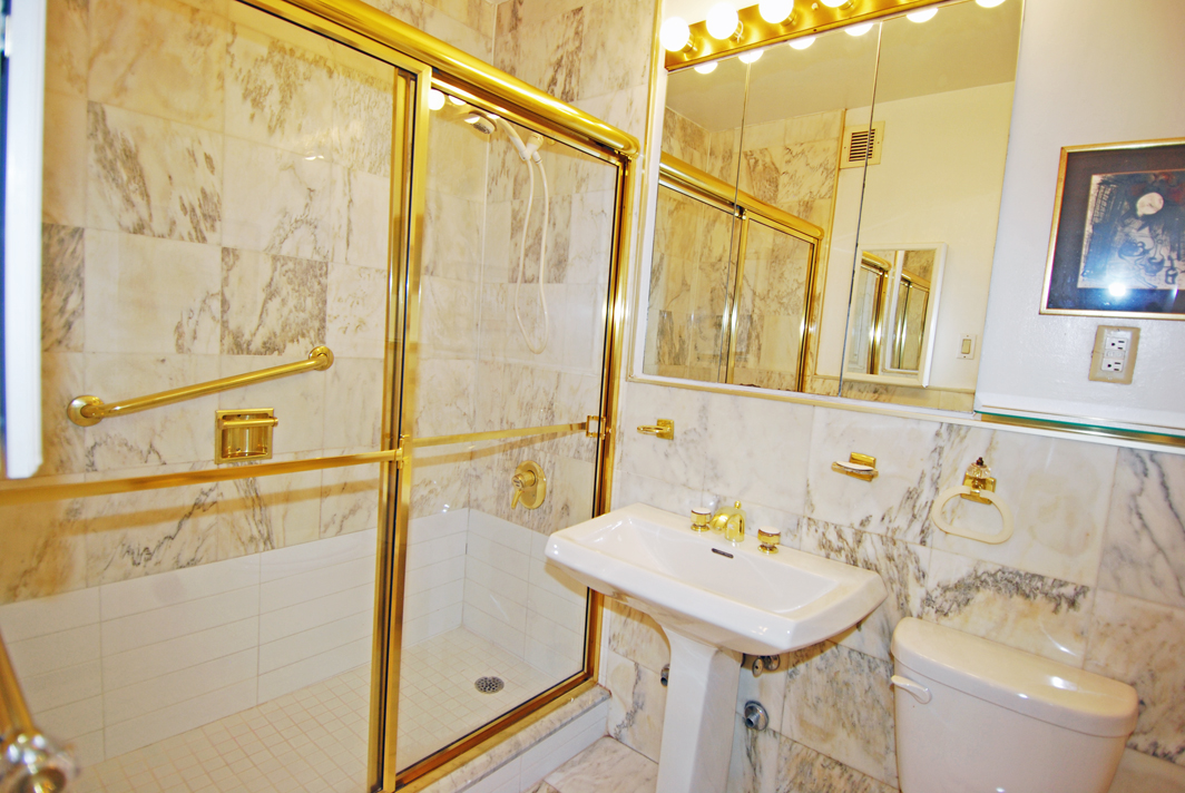 North Shore Towers  apt.