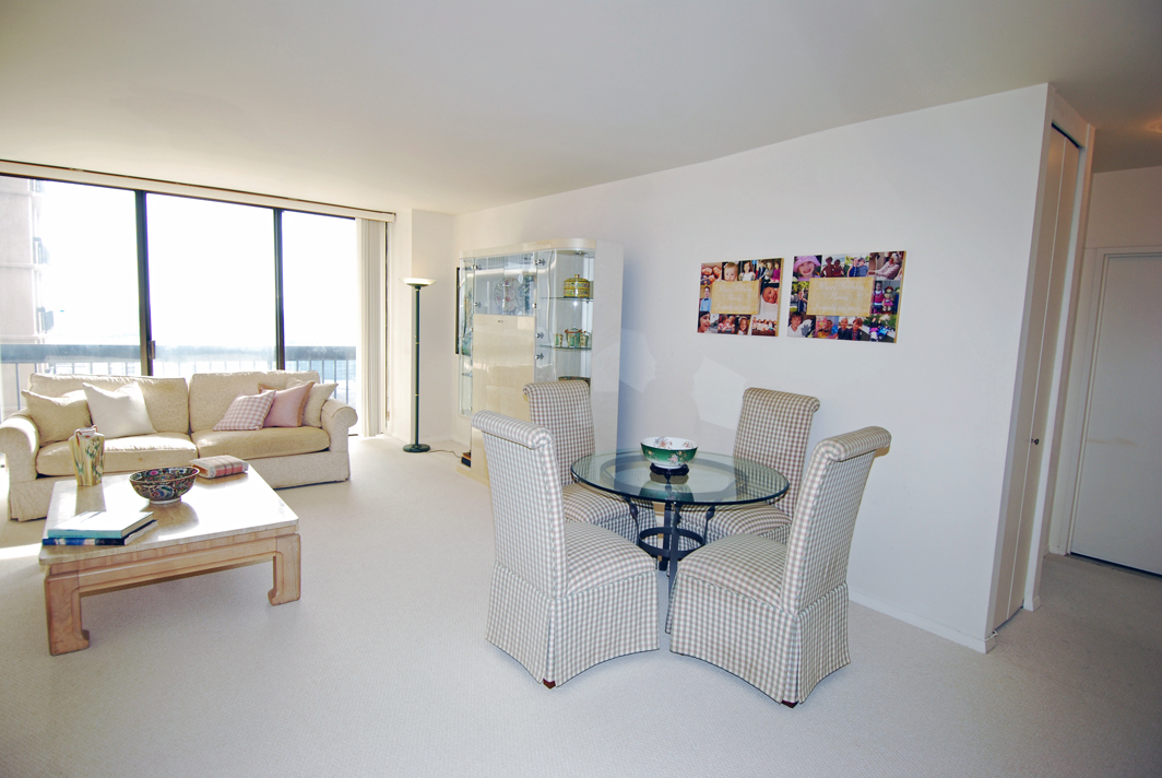 North Shore Towers  apt.