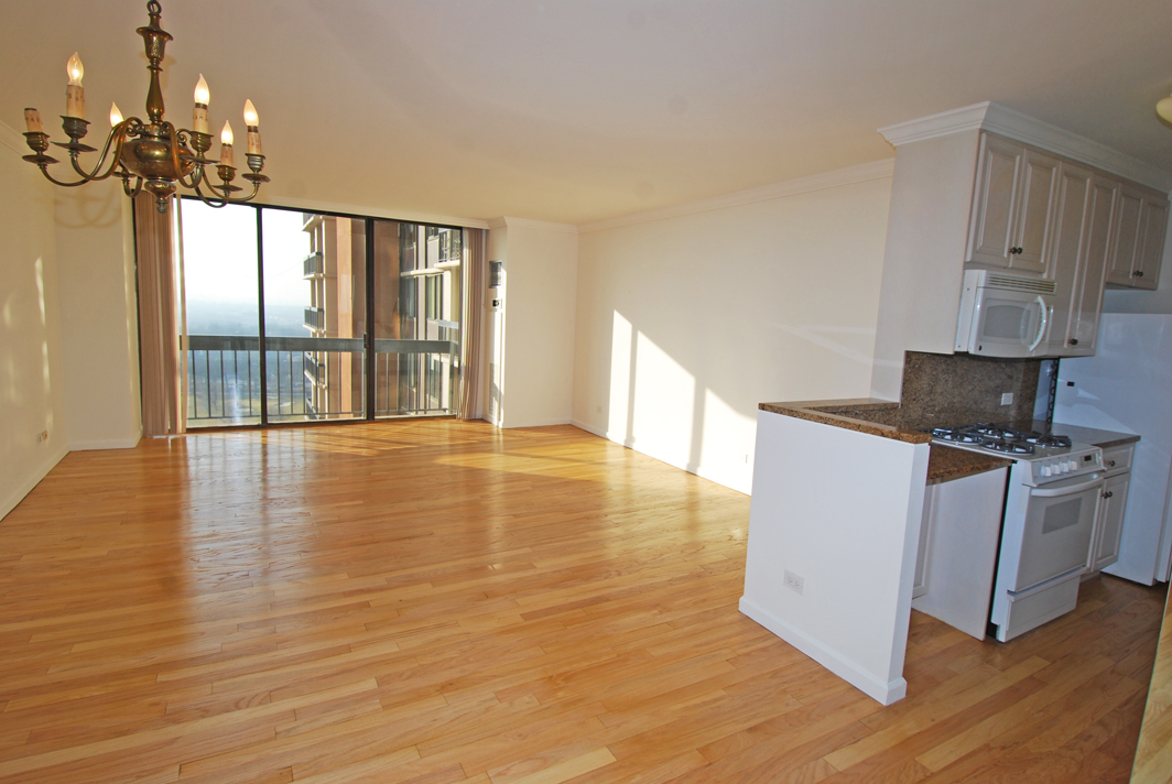 North Shore Towers  apt.