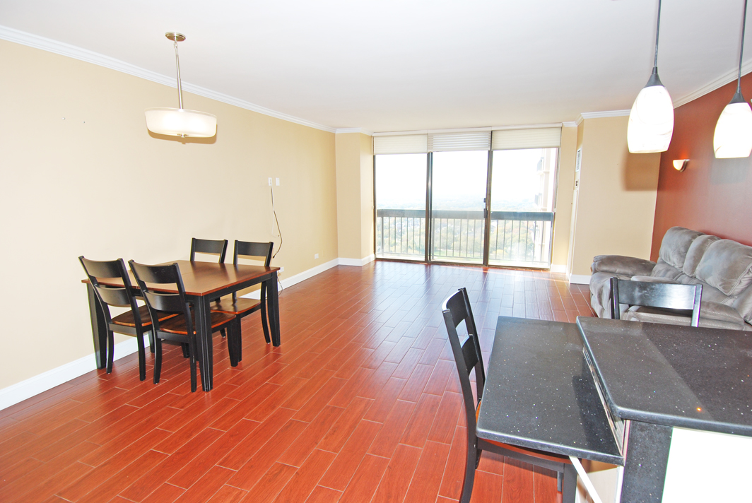 North Shore Towers  apt.