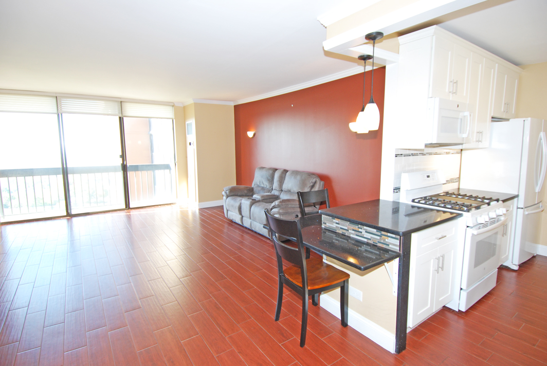 North Shore Towers apt.