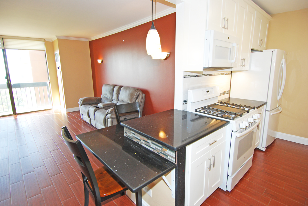 North Shore Towers apt.