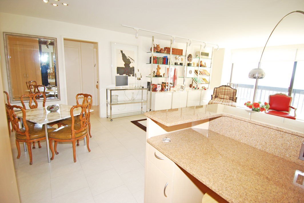 North Shore Towers 1 Bedroom Apartment