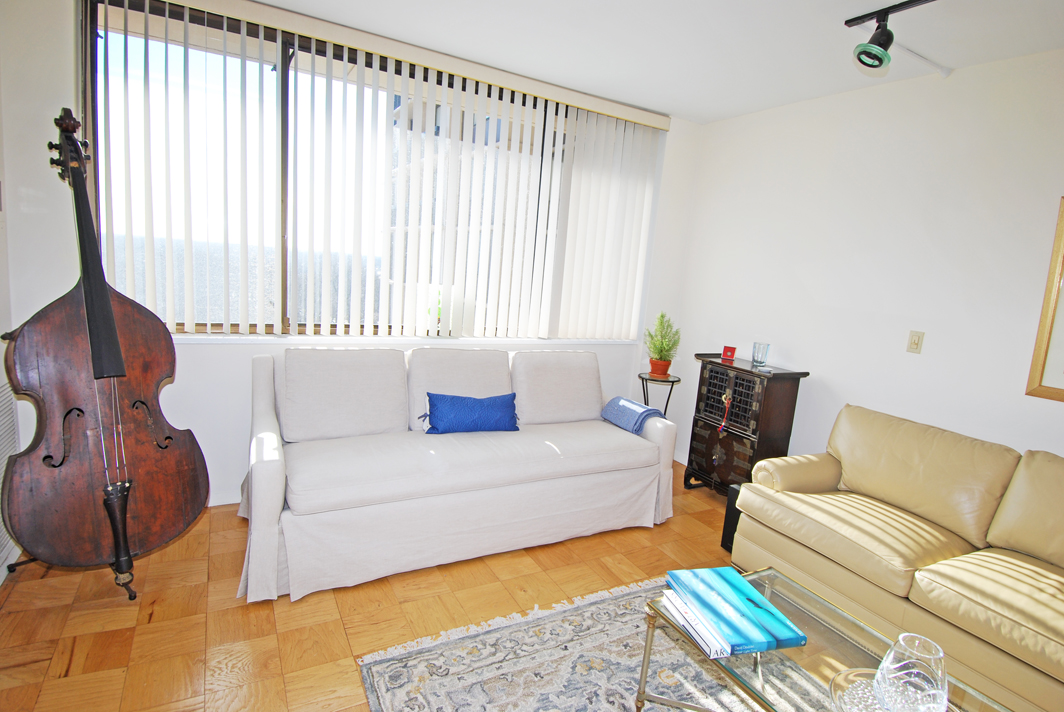 North Shore Towers Studio Apartment