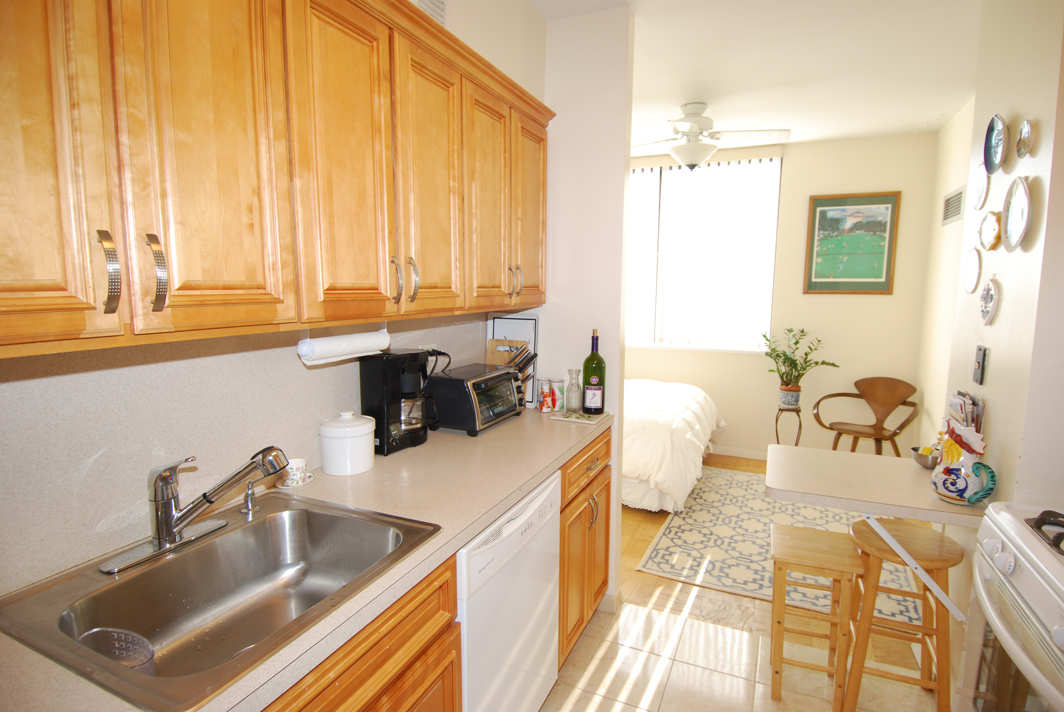 North Shore Towers Studio Apartment