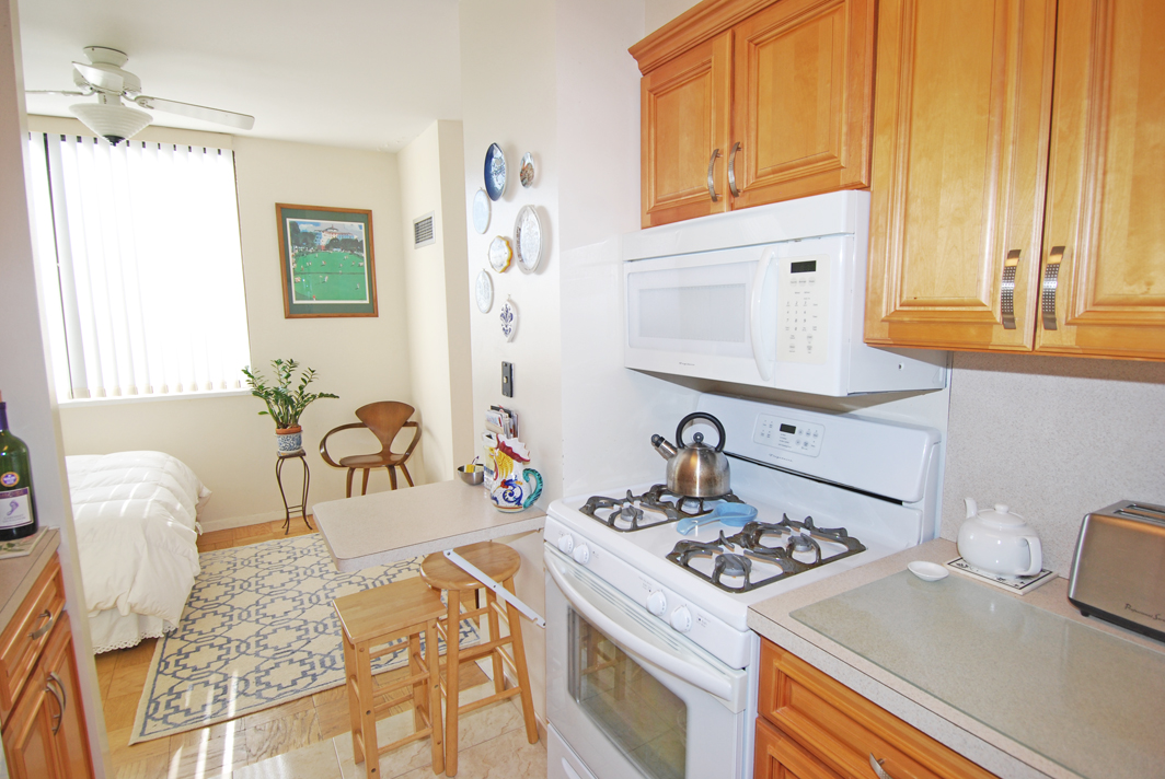 North Shore Towers Studio Apartment