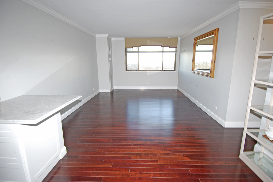 North Shore Towers Apartment