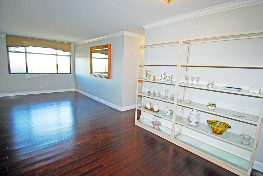 North Shore Towers Apartment