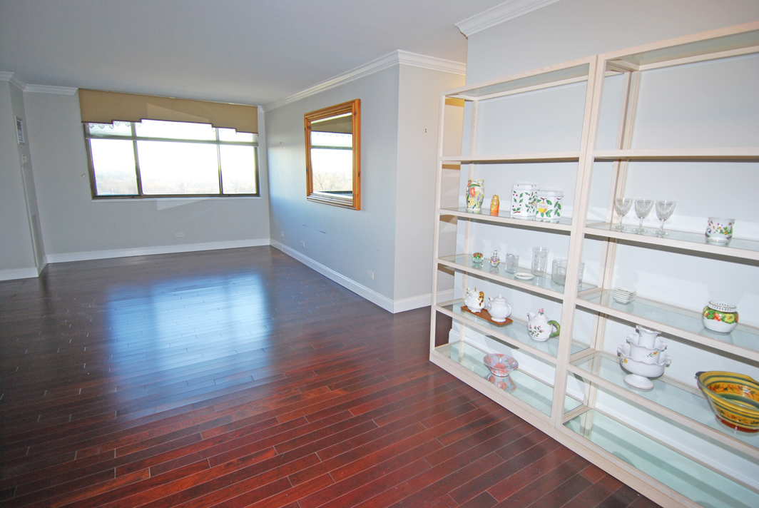 North Shore Towers Apartment