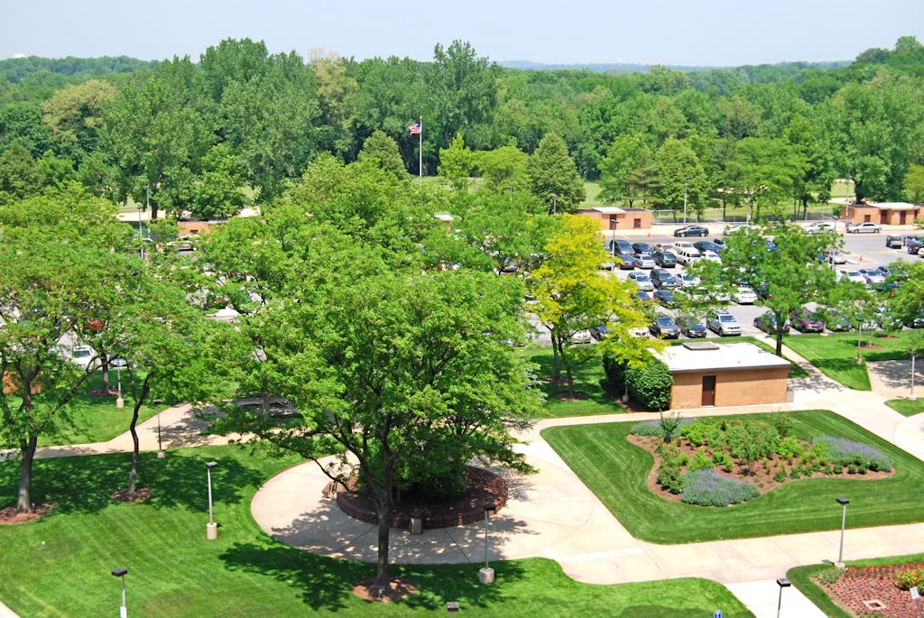 North Shore Towers 1 bedroom   Apartment