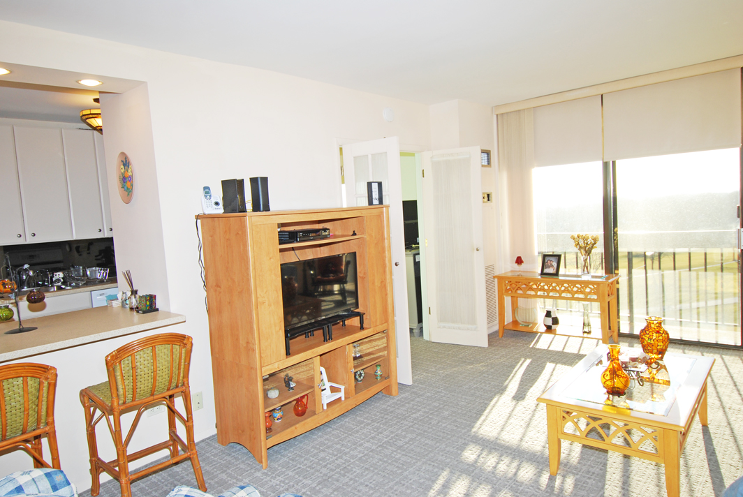 North Shore Towers Studio Apartment