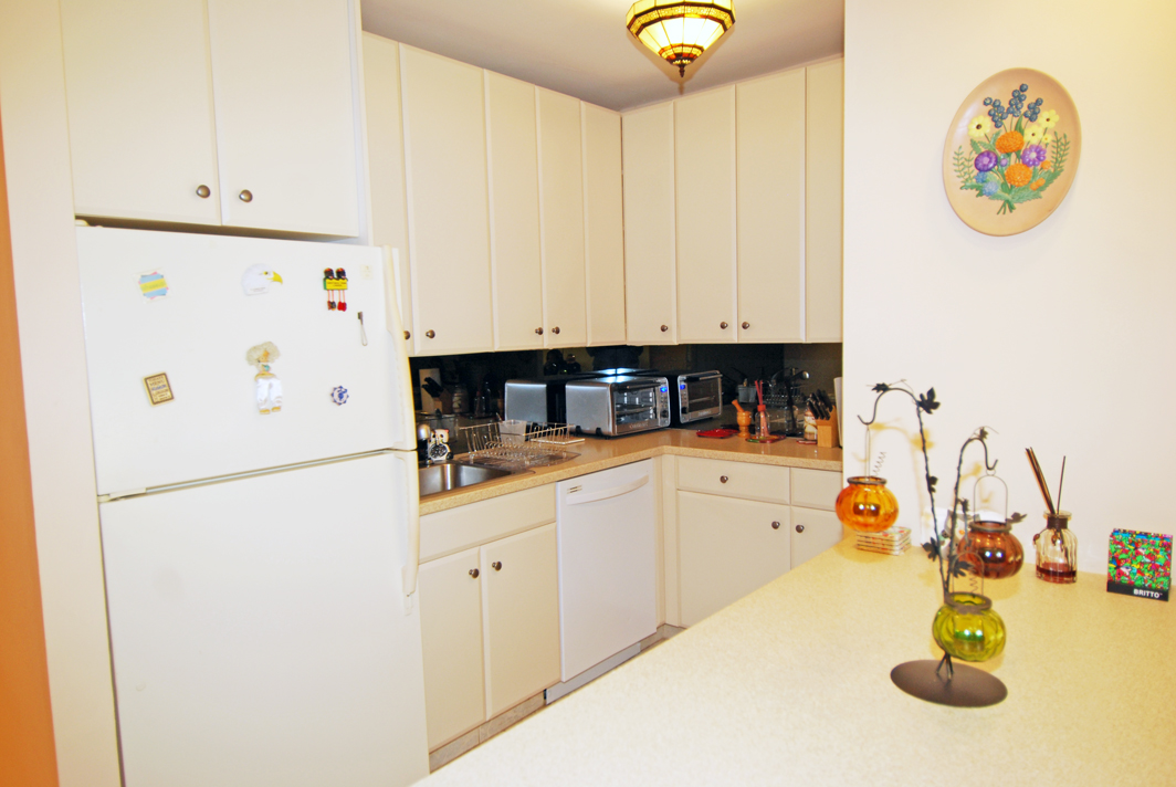 North Shore Towers Studio Apartment