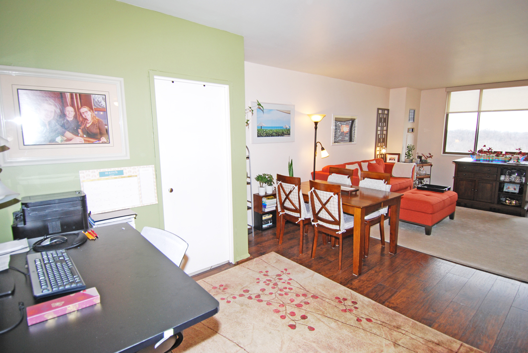 North Shore Towers  apt.