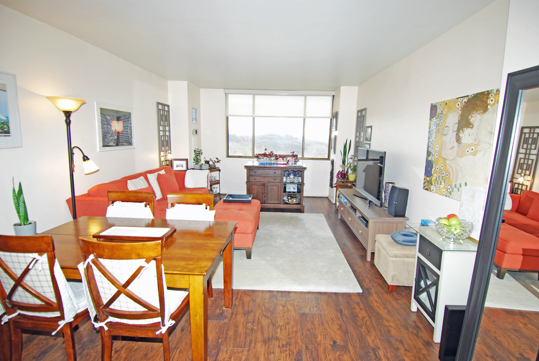 North Shore Towers  apt.