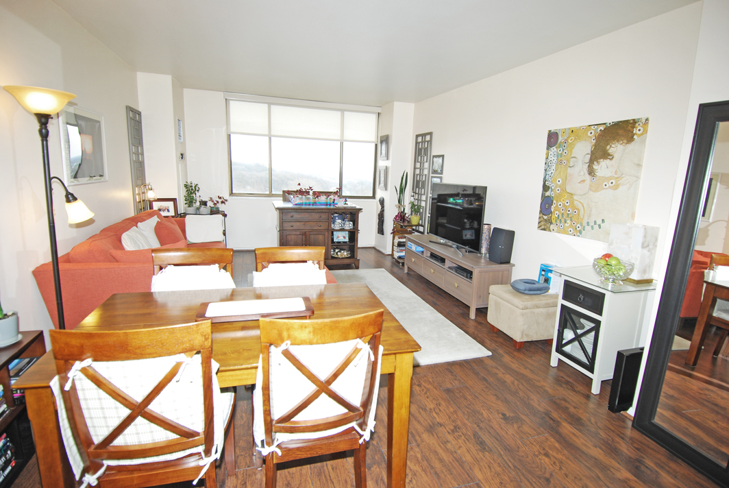 North Shore Towers apt.