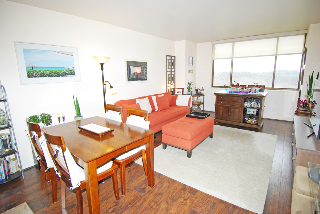 North Shore Towers apt.