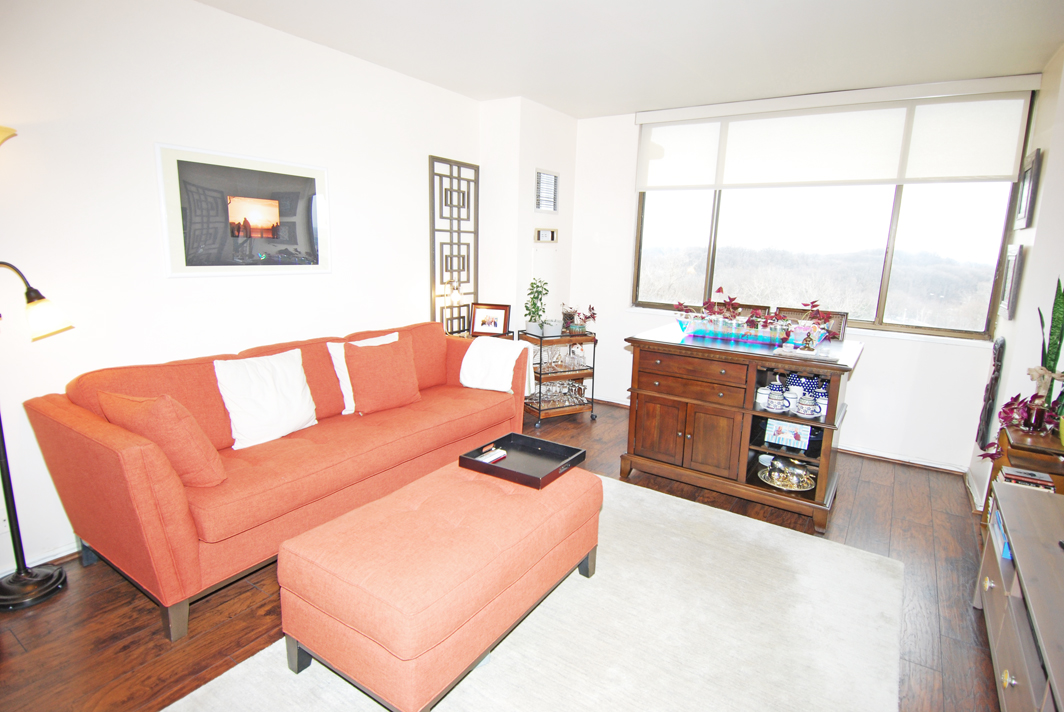 North Shore Towers apt.