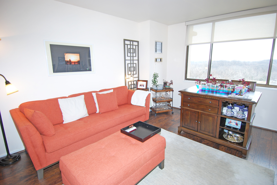 North Shore Towers apt.