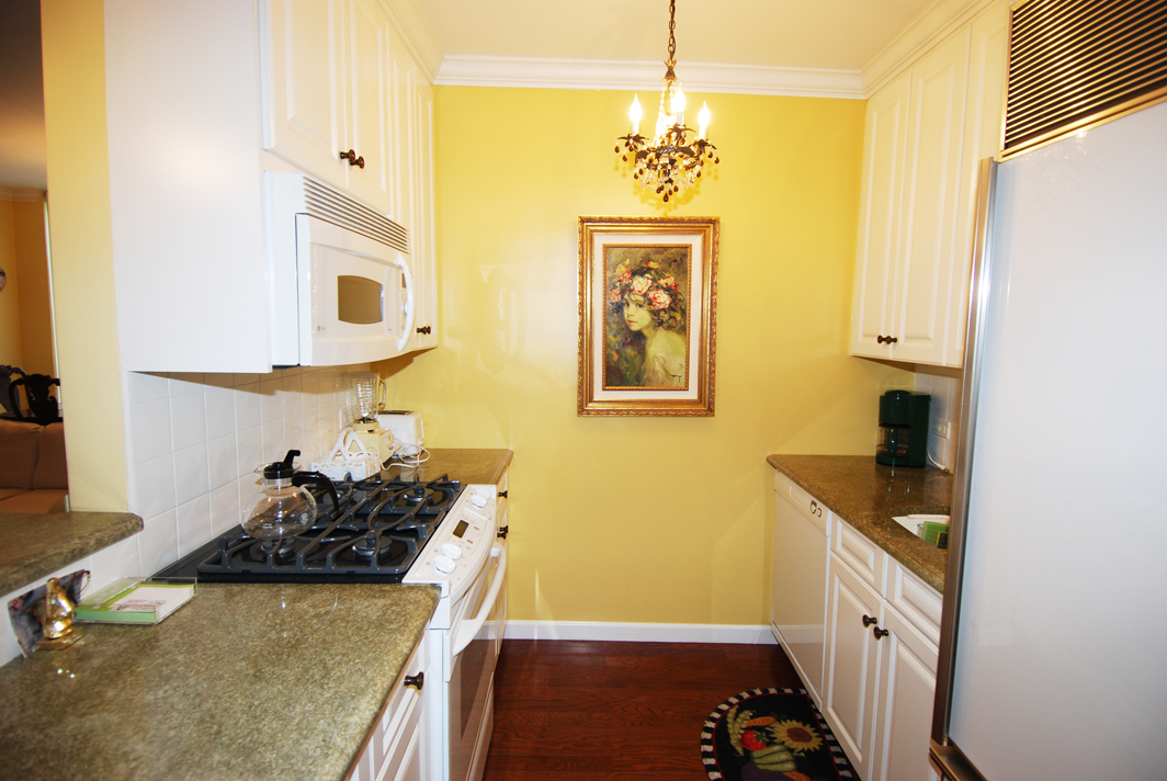 North Shore Towers Studio Apartment