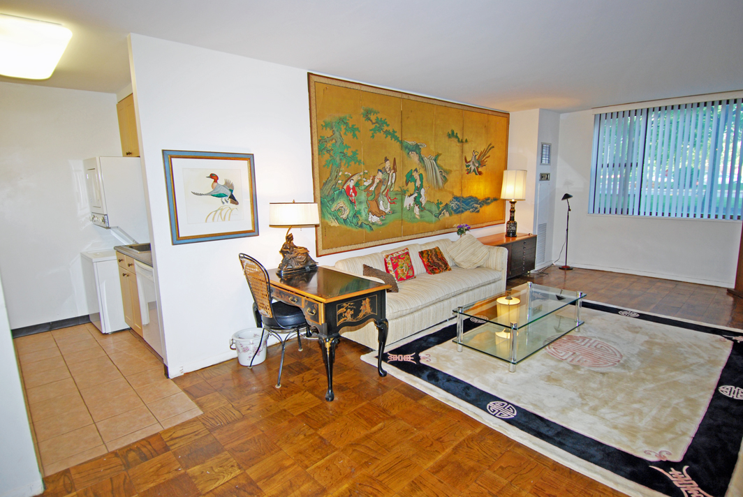 North Shore Towers  apt.