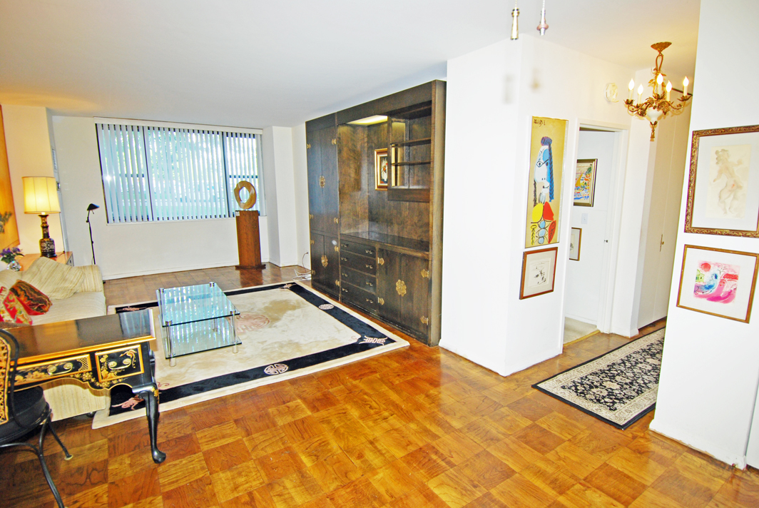 North Shore Towers  apt.