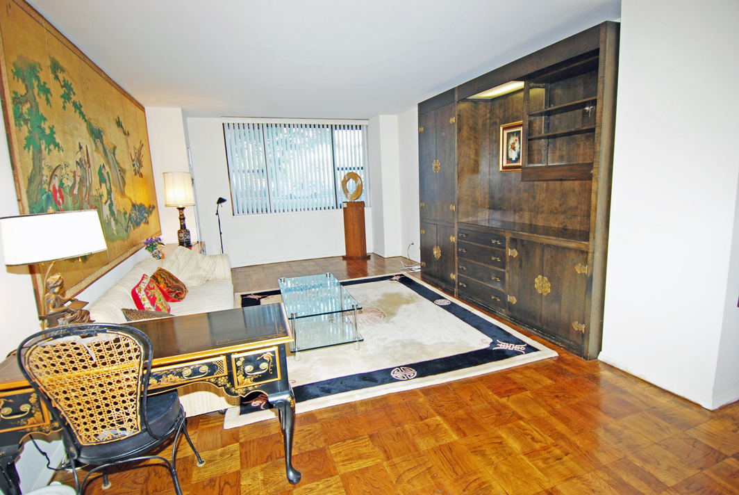 North Shore Towers  apt.