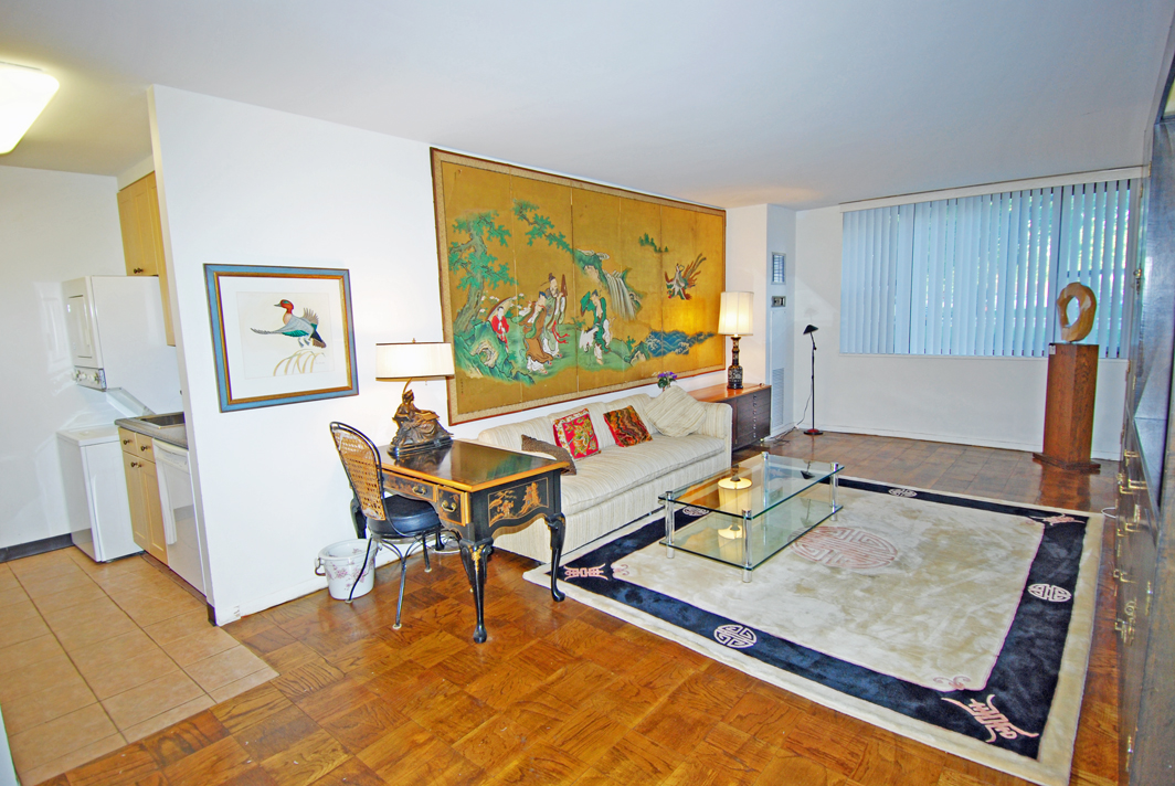 North Shore Towers  apt.