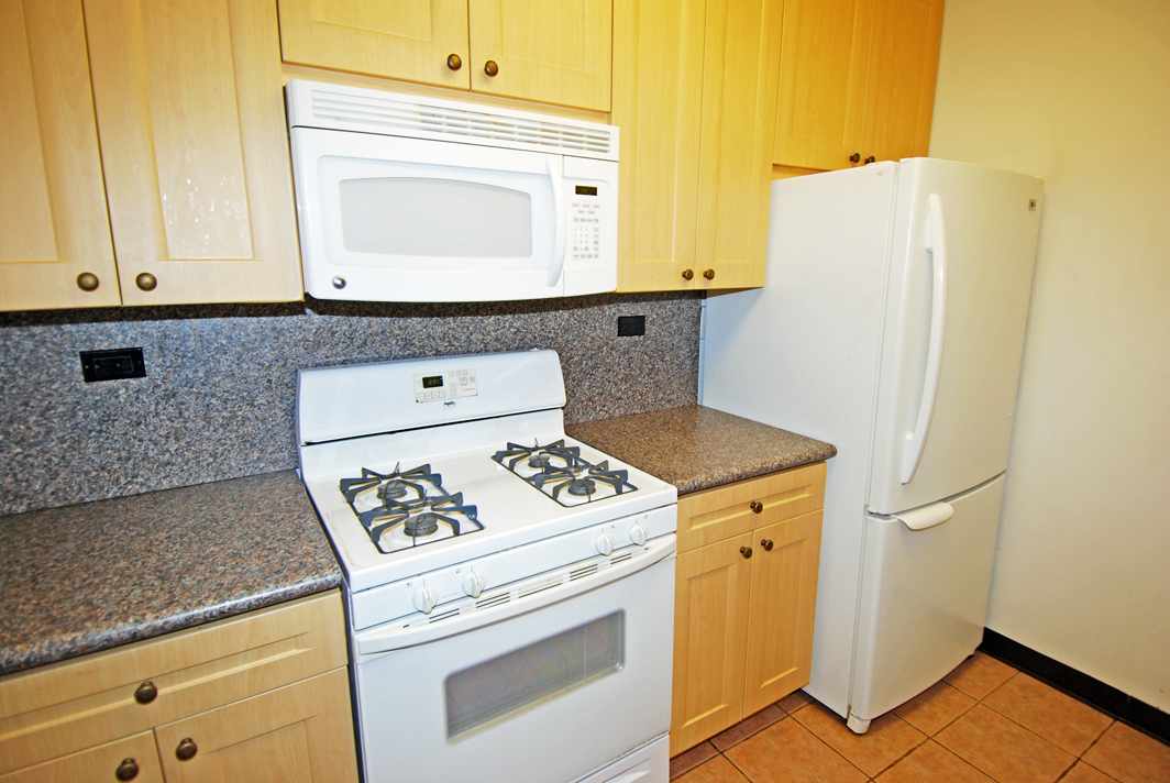 North Shore Towers  apt.