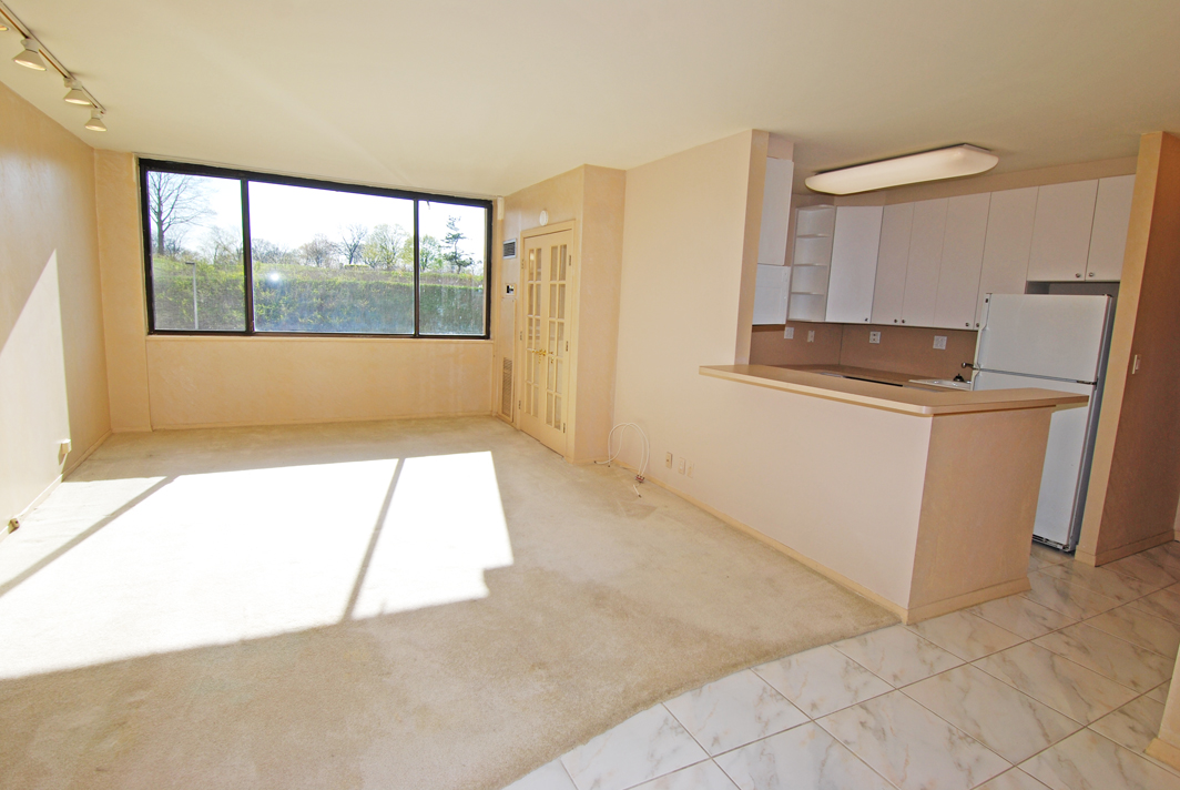 North Shore Towers Studio Apartment