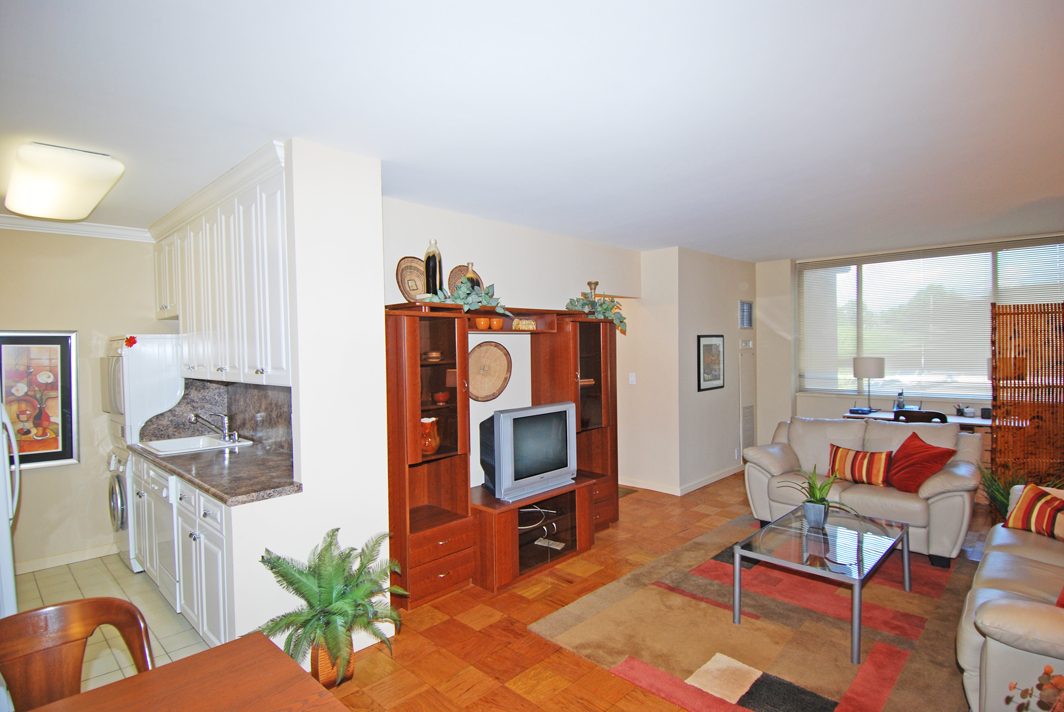 North Shore Towers Studio Apartment