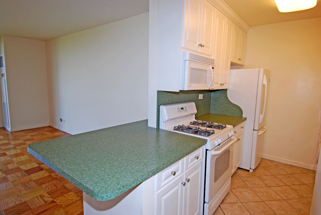 North Shore Towers 1 Bedroom Apartment