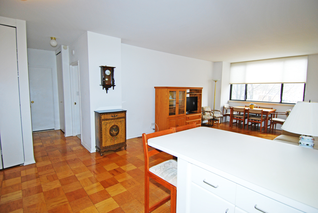 North Shore Towers 1 Bedroom Apartment