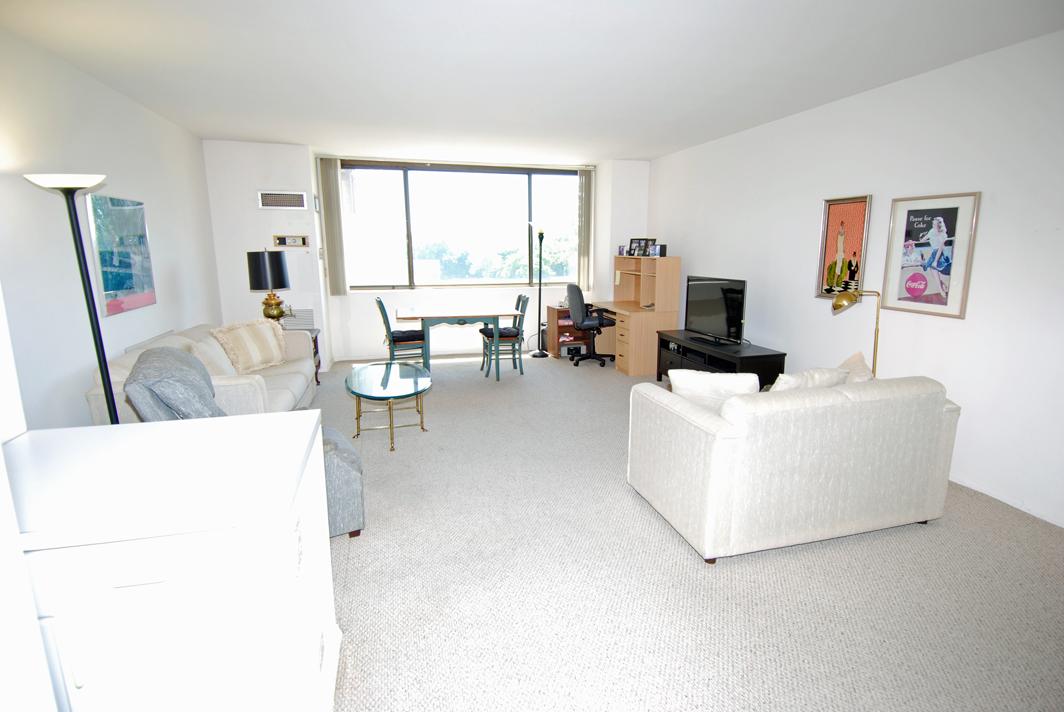 North Shore Towers 1 Bedroom Apartment