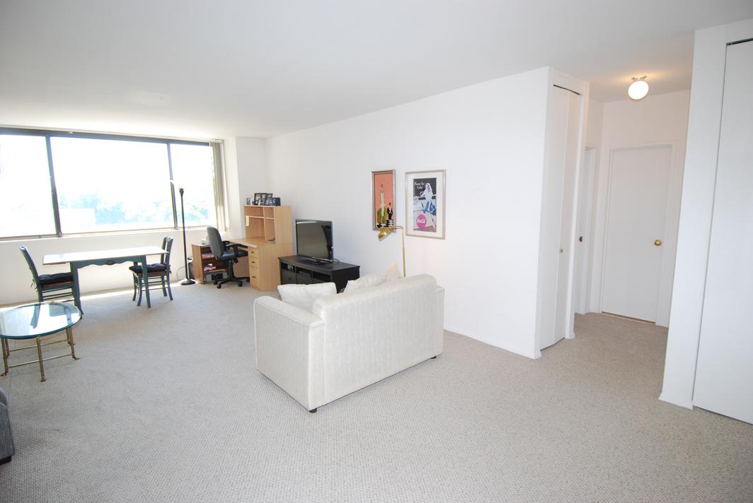 North Shore Towers 1 Bedroom Apartment