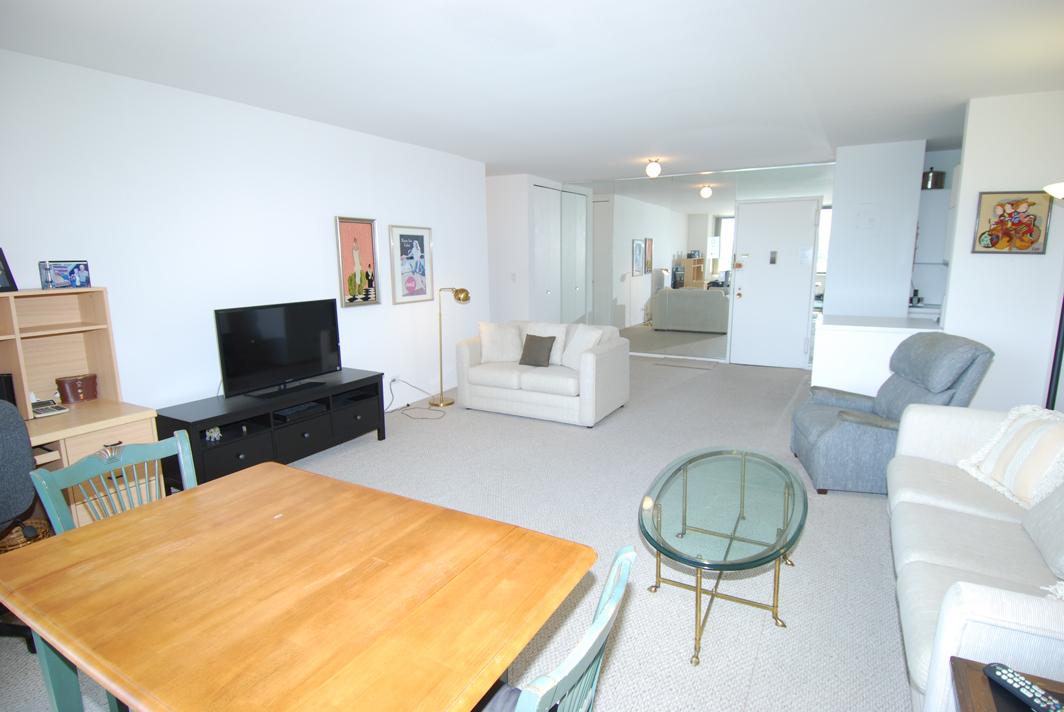 North Shore Towers 1 Bedroom Apartment