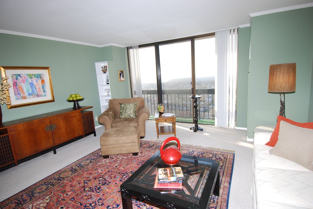 North Shore Towers Apartment