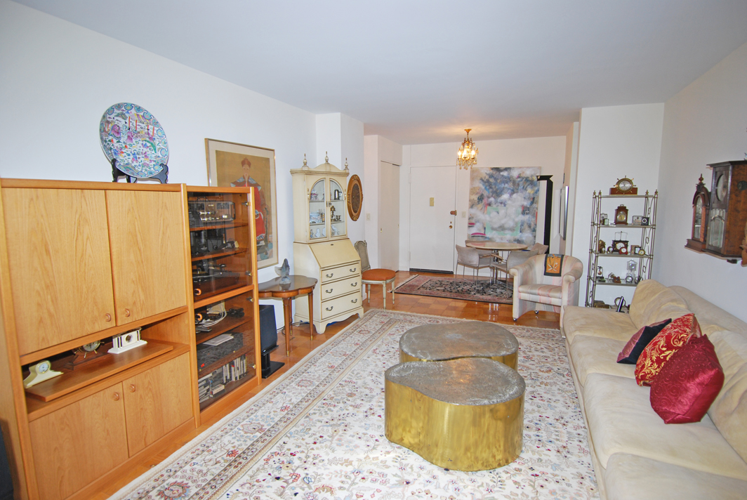 North Shore Towers 1 Bedroom Apartment