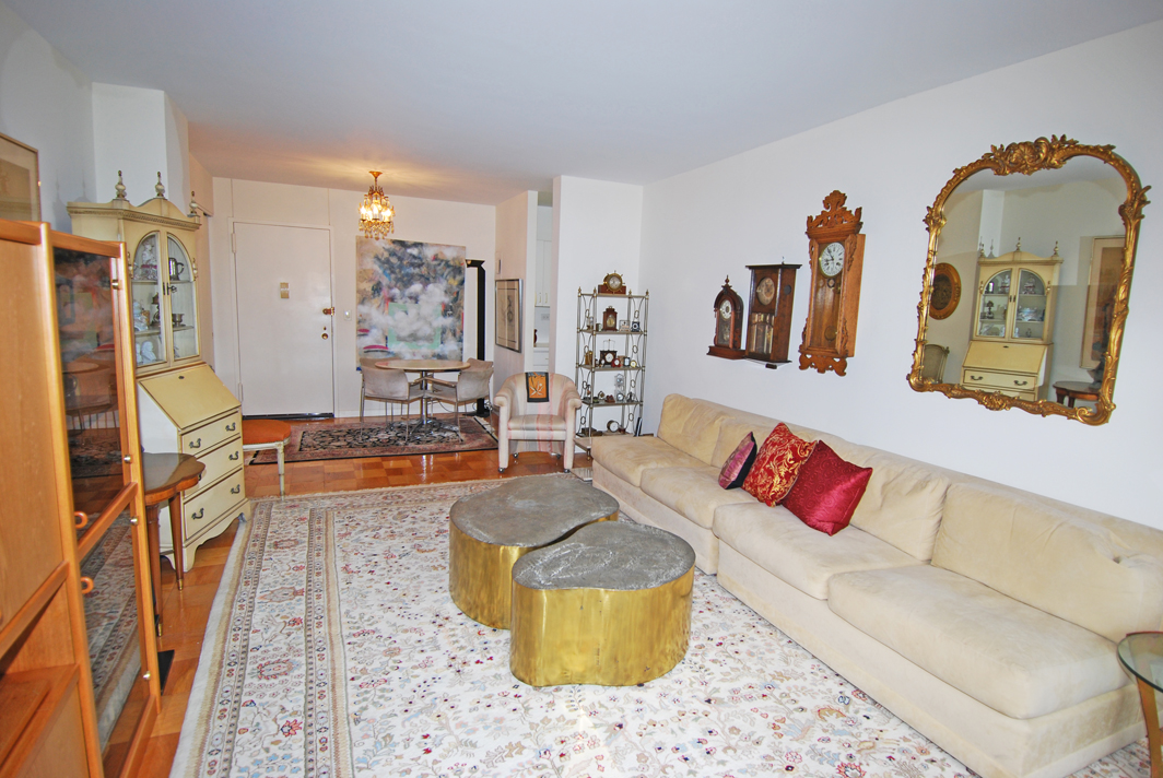 North Shore Towers 1 Bedroom Apartment