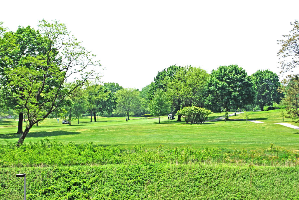 North Shore Towers Alcove Studio