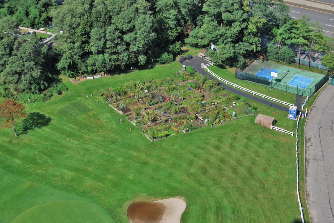 North Shore Towers 1 Bedroom Apartment