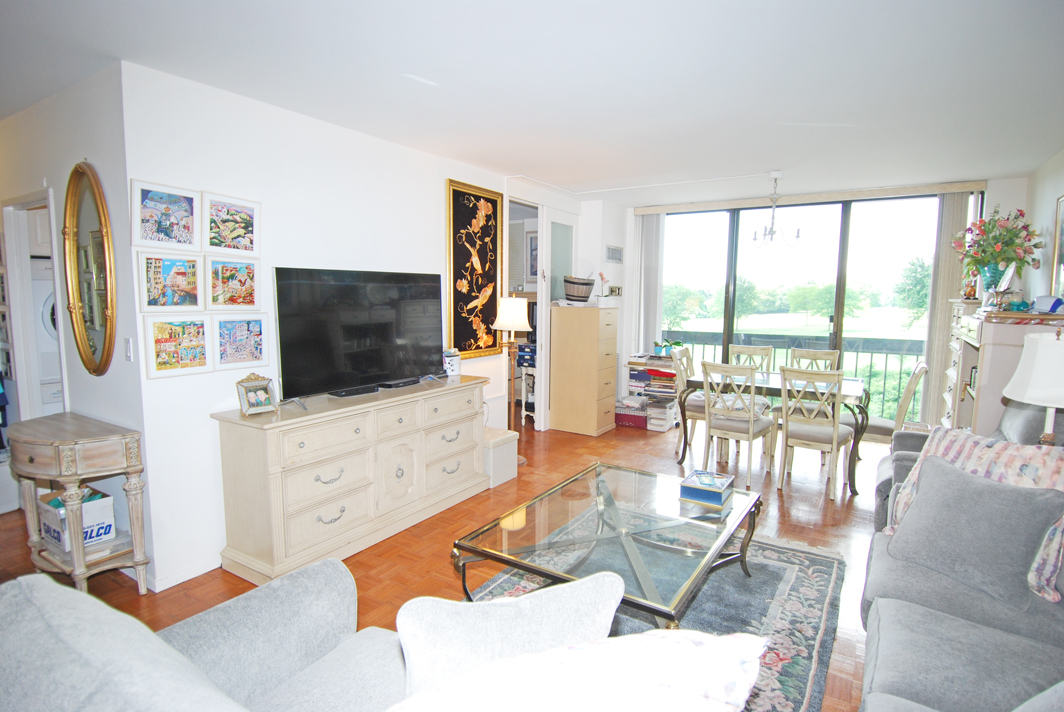 North Shore Towers Studio Apartment