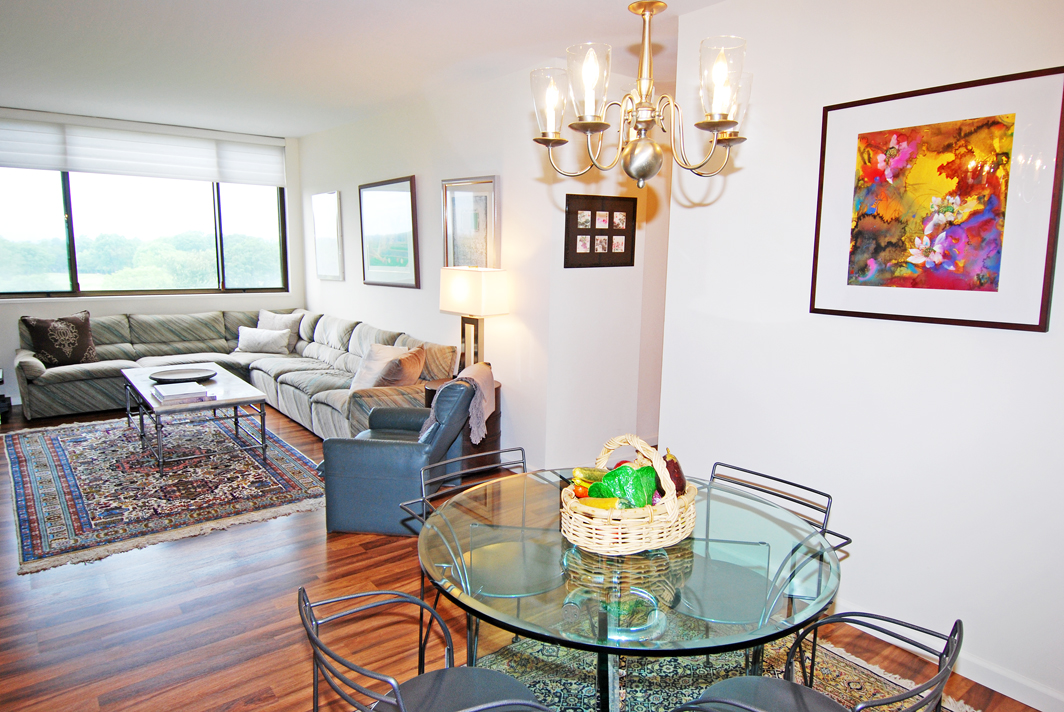 North Shore Towers  apt.