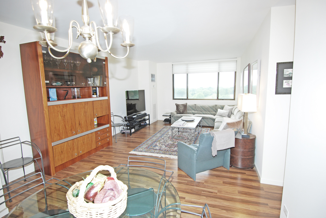 North Shore Towers  apt.