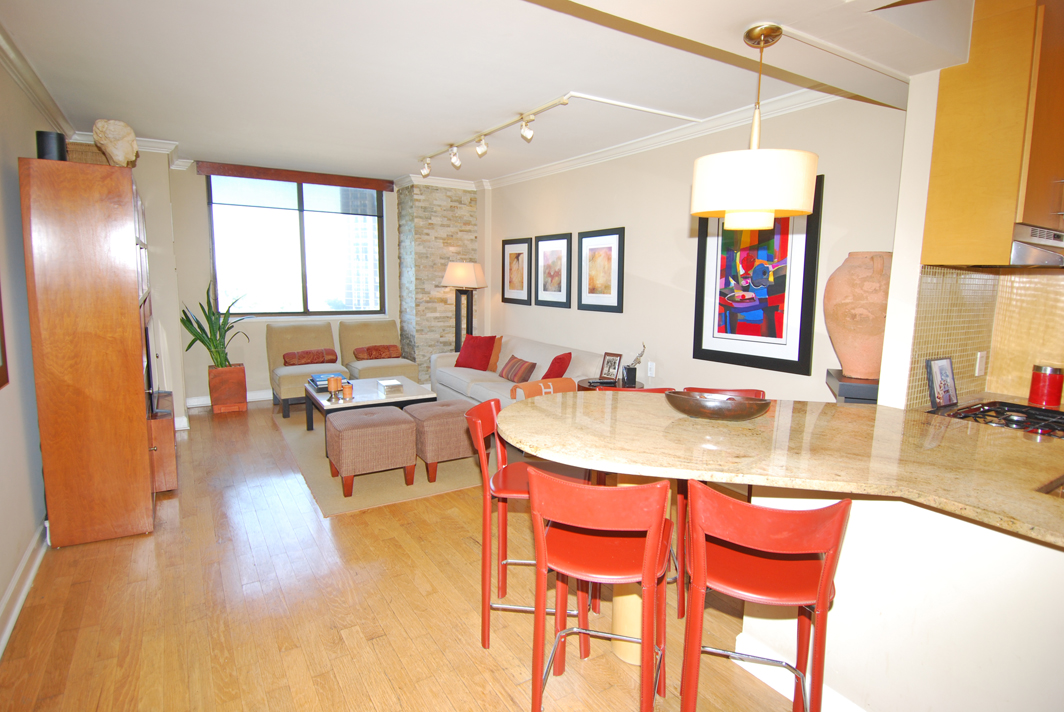 North Shore Towers 1 Bedroom Apartment