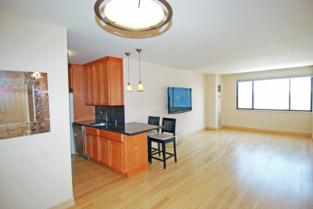 North Shore Towers 1 bedroom apt.